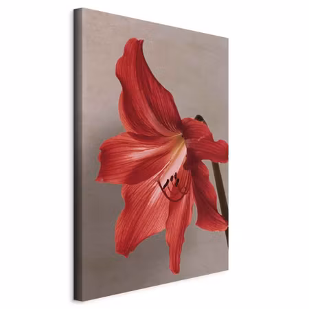 Canvastavla - Red flower part vertical