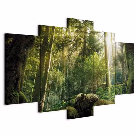 Canvastavla - The beauty of the forest