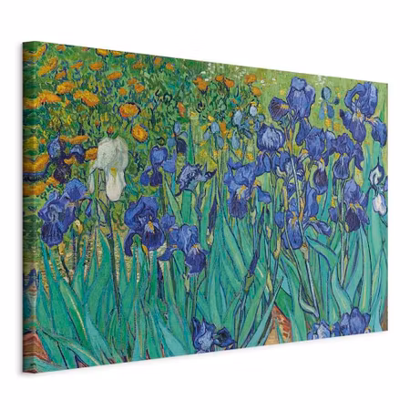 Canvastavla - Vincent van gogh iryses