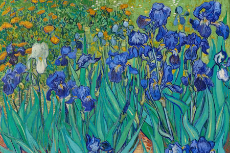 Canvastavla - Vincent van gogh iryses