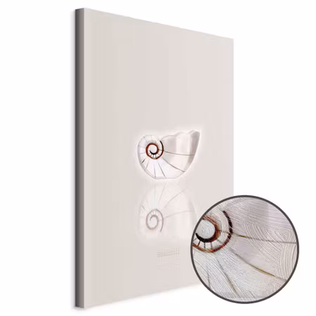 Premium canvastavla - Ceramic shell