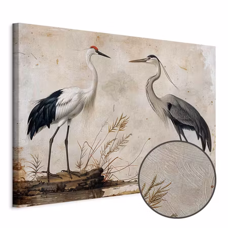 Premium canvastavla - Birds from an old engraving