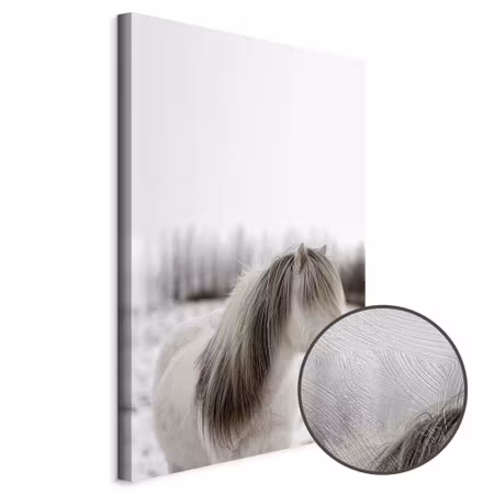Premium canvastavla - Horse mane