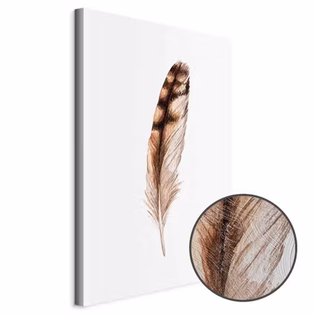Premium canvastavla - Magic feather
