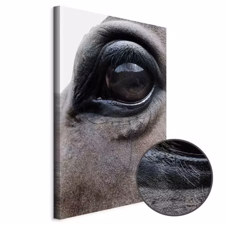 Premium canvastavla - Honest eyes