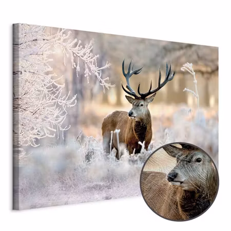 Premium canvastavla - Deer in the cold