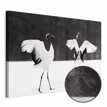 Premium canvastavla - Dancing cranes wide