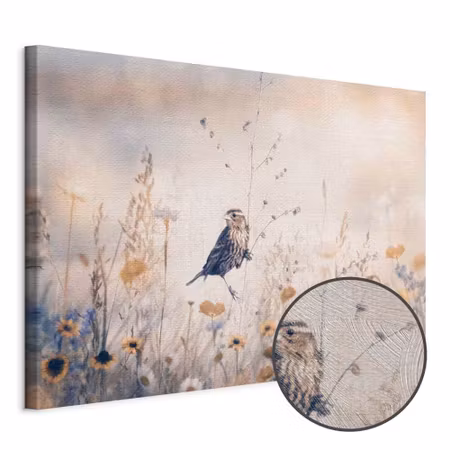 Premium canvastavla - August melody