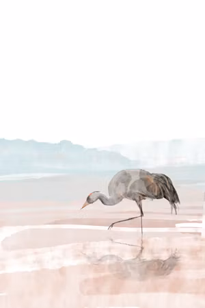 Premium canvastavla - Crane in the morning