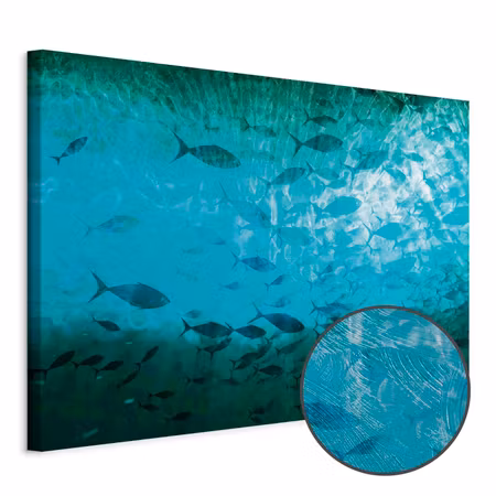 Premium canvastavla - A shoal of dark fish