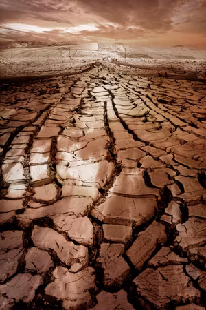Premium canvastavla - Drought