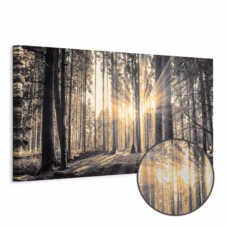 Premium canvastavla - Forest sun