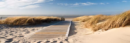 Premium canvastavla - Wild beach