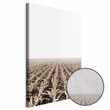 Premium canvastavla - Corn field