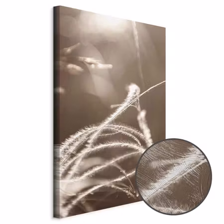 Premium canvastavla - Fluffy grass