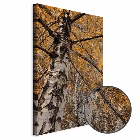 Premium canvastavla - Autumn colours