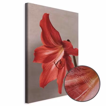 Premium canvastavla - Red flower