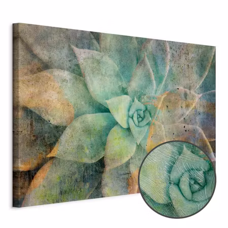 Premium canvastavla - Blooming tones wide