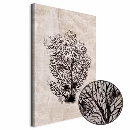 Premium canvastavla - Sea fan