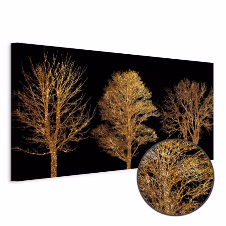 Premium canvastavla - Golden forest wide