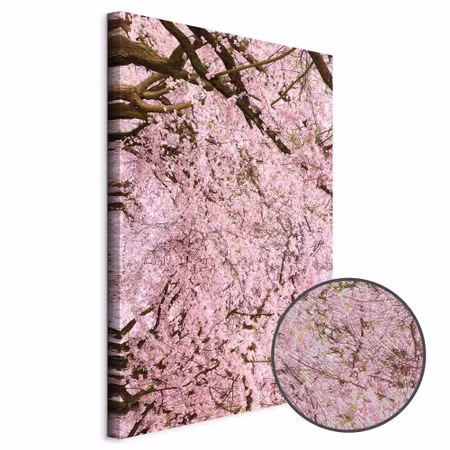 Premium canvastavla - Cherry tree