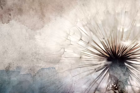 Premium canvastavla - Dandelions in the clouds