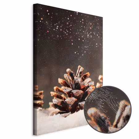 Premium canvastavla - Winter pine cone