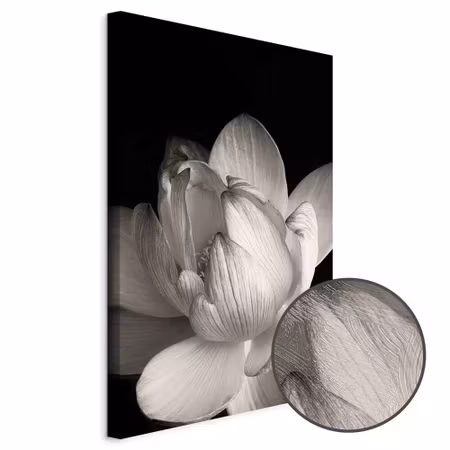 Premium canvastavla - Delicacy of petals in nature