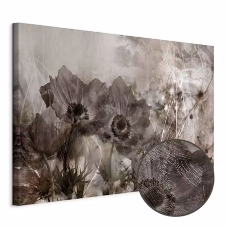 Premium canvastavla - Anemones in sepia wide