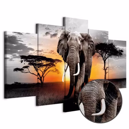 Premium canvastavla - Elephant at sunset