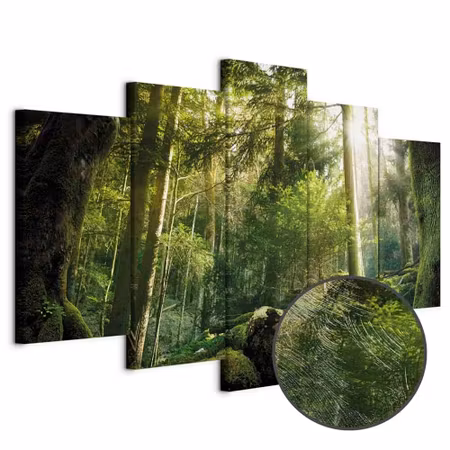 Premium canvastavla - The beauty of the forest