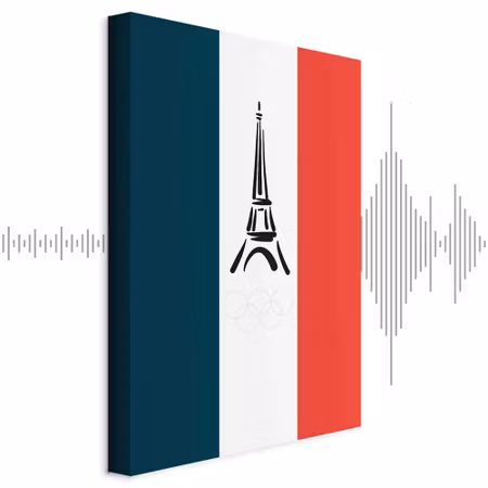 Ljuddämpande tavla - French Flag with Graphic