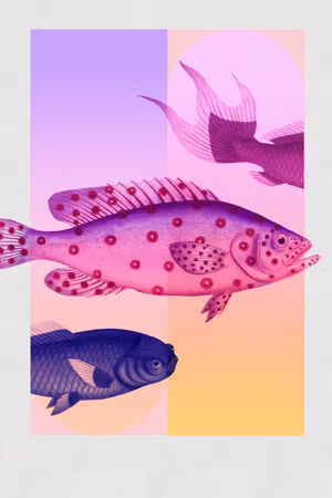 Ljuddämpande tavla - Fish in Pastels Stylized