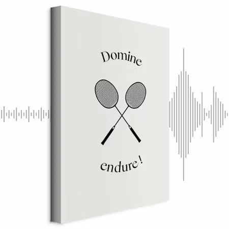 Ljuddämpande tavla - Black Badminton Rackets