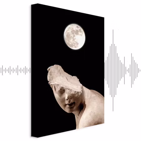 Ljuddämpande tavla - Moon and Statue Part