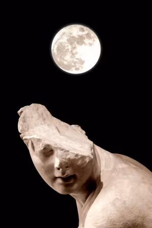 Ljuddämpande tavla - Moon and Statue Part