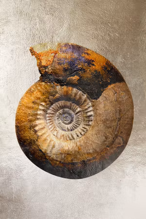 Ljuddämpande tavla - Petrified Colour Part
