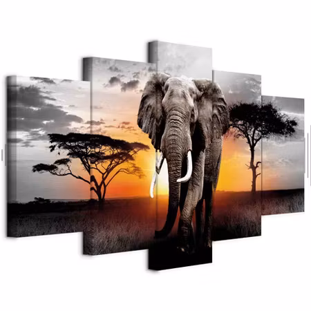 Ljuddämpande tavla - Elephant at Sunset