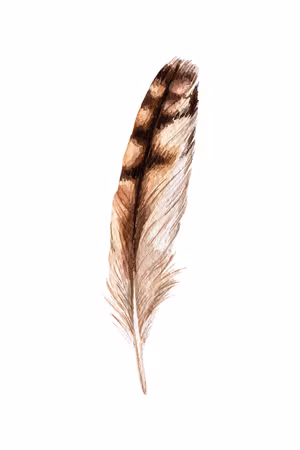 Ljuddämpande tavla - Magic Feather Part Vertical