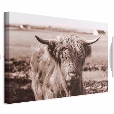 Ljuddämpande tavla - A Scottish Cow in Sepia