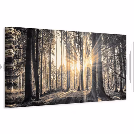 Ljuddämpande tavla - Forest Sun