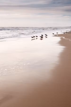 Ljuddämpande tavla - Autumn Beach Part Vertical