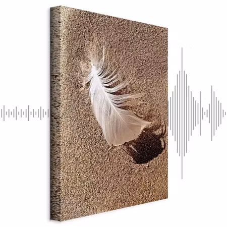 Ljuddämpande tavla - Feather on the Sand Part