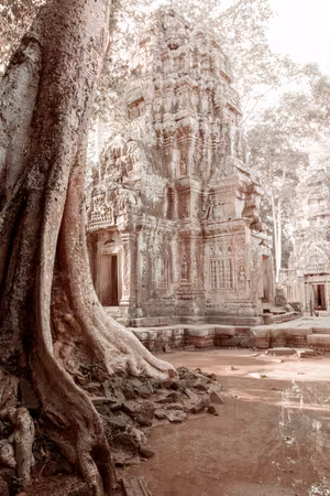 Ljuddämpande tavla - Ruins of Angkor Part