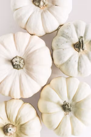 Ljuddämpande tavla - Time for Pumpkins Part