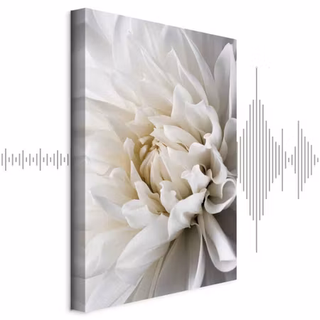 Ljuddämpande tavla - White Dahlia
