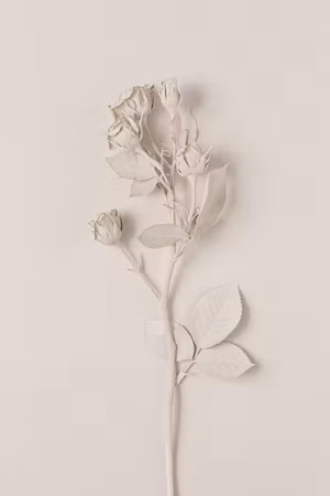 Ljuddämpande tavla - Harmonious Rose Part