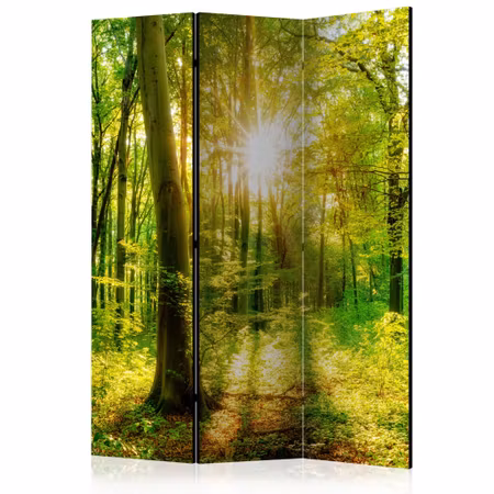 3-delad ljuddämpande rumsavdelare - Forest Rays