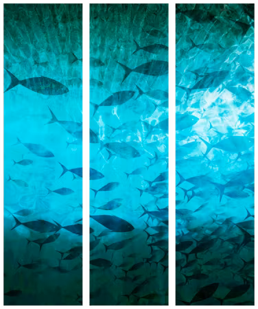 3-delad ljuddämpande rumsavdelare - Underwater