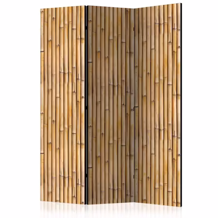 3-delad rumsavdelare - Amazonian wall